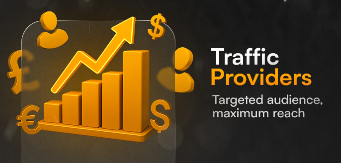Category – Traffic
