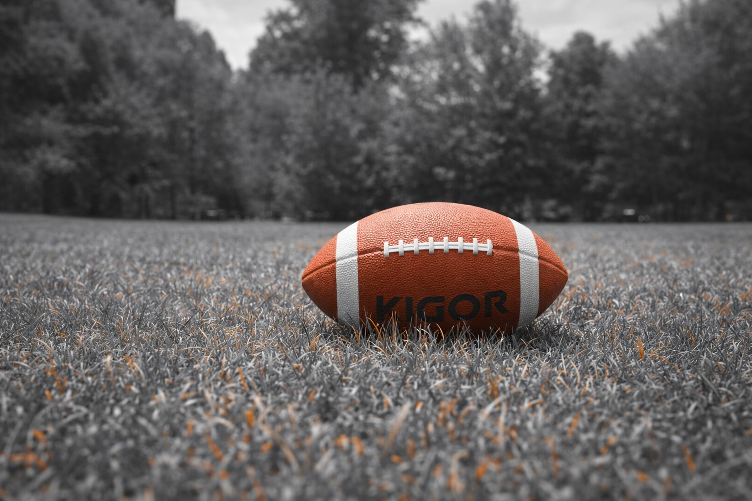 Best Rugby Betting Software Providers