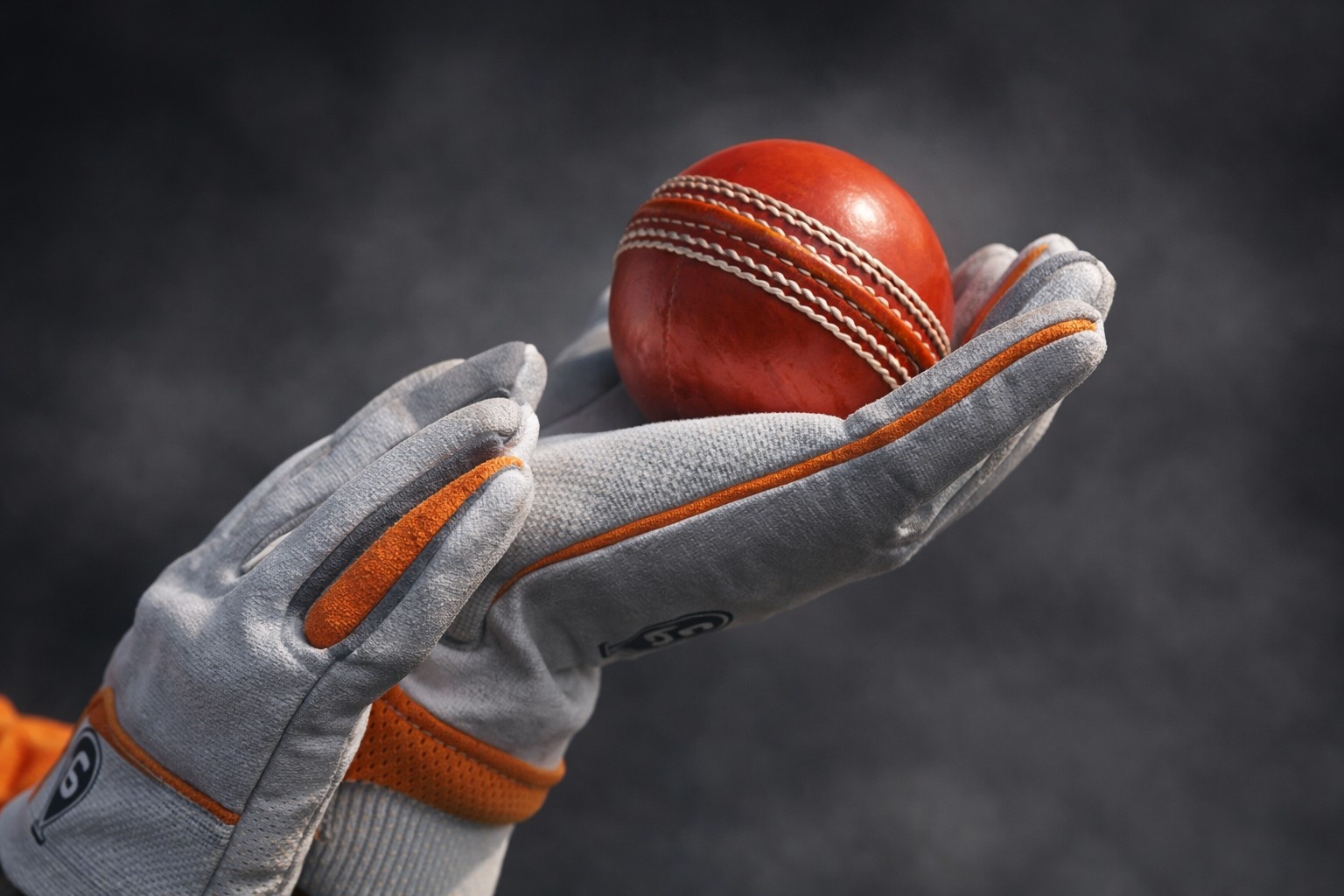 Cricket Betting Software Developers: Powering the Next Betting Wave