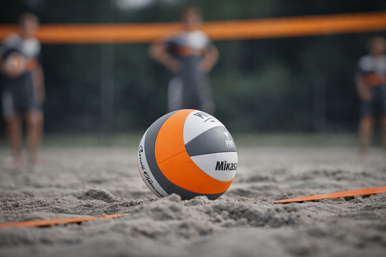 Top Platforms Providing Volleyball Betting Software for 2026