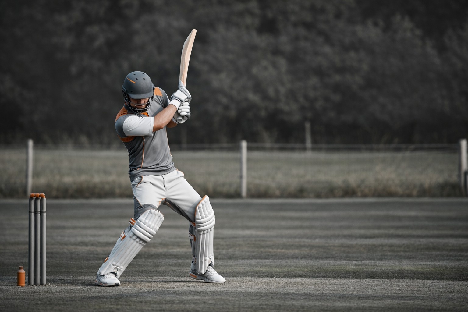 Unveiling the Top Platforms for Cricket Betting Software Development