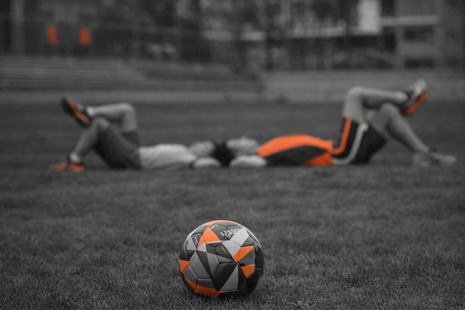 Top Sports Betting Marketing Services: Leading Companies in 2026